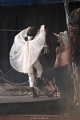 cirque le bruit_-127